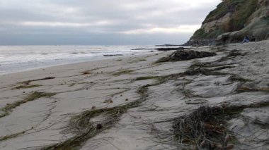 Swamis Sahili 'nin serin kayaları. 50 yıl önce kıyıya bırakılan erozyon kontrol kayaları Swamis Resif Sörf Parkı Encinitas California 'daki dalga karışımında bulunan eski nehir taşlarıyla çevrili..