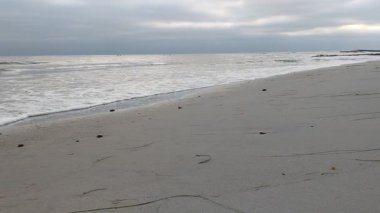 Güney Kaliforniya San Diego Kuzey Bölgesi plajları, gün batımları, sörfçüler, gelgit havuzları ve palmiye ağaçları Encinitas California 'daki Swamis Resif Sörf Parkı' nda..