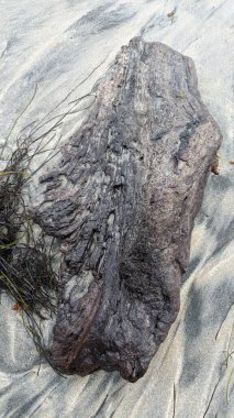 Günbatımı siluetleri, sörfçüleri, gel-git havuzları, palmiye ağaçları ve Swamis Resif Sörf Parkı, Ay ışığı, Cardiff ve Encinitas California 'daki diğer yerel plajların olduğu güneşli Güney Kaliforniya doğal plaj sahneleri..