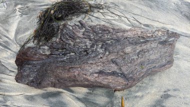 Günbatımı siluetleri, sörfçüleri, gel-git havuzları, palmiye ağaçları ve Swamis Resif Sörf Parkı, Ay ışığı, Cardiff ve Encinitas California 'daki diğer yerel plajların olduğu güneşli Güney Kaliforniya doğal plaj sahneleri..