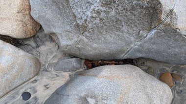 Swamis Sahili 'nin sanatsal erimiş kayaları. 50 yıl önce kıyı boyunca uzanan erozyon kontrol kayaları Swamis Resif Sörf Parkı Encinitas California 'daki dalga enerjili kaya parlatıcı ekibindeki çok renkli nehir kayalarıyla çevrili..