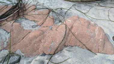 Swamis Sahili 'nin soğuk erimiş kayaları. 50 yıl önce kıyı şeridi boyunca uzanan okyanus dalgası erozyon kontrol taşları Swamis Resif Sörf Parkı Encinitas California 'daki antik nehir kayaları ve soyut heykellere benziyor..