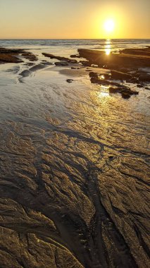 Swamis Resif Sörf Parkı, Ay ışığı, Cardiff ve Encinitas California 'daki diğer benzersiz plajlarda güneşli Güney Kaliforniya sahneleri, sörfçüler, gelgit havuzları, serin kayalar ve palmiye ağaçları..