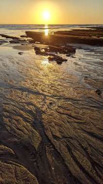 Swamis Resif Sörf Parkı, Ay ışığı, Cardiff ve Encinitas California 'daki diğer benzersiz plajlarda güneşli Güney Kaliforniya sahneleri, sörfçüler, gelgit havuzları, serin kayalar ve palmiye ağaçları..