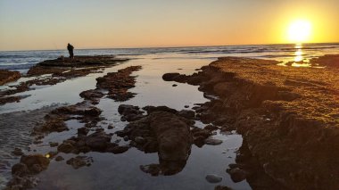 Swamis Resif Sörf Parkı, Ay ışığı, Cardiff ve Encinitas California 'daki diğer benzersiz plajlarda güneşli Güney Kaliforniya sahneleri, sörfçüler, gelgit havuzları, serin kayalar ve palmiye ağaçları..