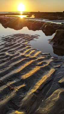 Swamis Resif Sörf Parkı, Ay ışığı, Cardiff ve Encinitas California 'daki diğer benzersiz plajlarda güneşli Güney Kaliforniya sahneleri, sörfçüler, gelgit havuzları, serin kayalar ve palmiye ağaçları..