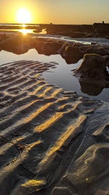 Swamis Resif Sörf Parkı, Ay ışığı, Cardiff ve Encinitas California 'daki diğer benzersiz plajlarda güneşli Güney Kaliforniya sahneleri, sörfçüler, gelgit havuzları, serin kayalar ve palmiye ağaçları..