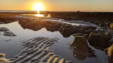 Swamis Resif Sörf Parkı, Ay ışığı, Cardiff ve Encinitas California 'daki diğer benzersiz plajlarda güneşli Güney Kaliforniya sahneleri, sörfçüler, gelgit havuzları, serin kayalar ve palmiye ağaçları..