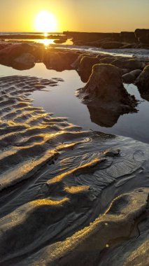 Swamis Resif Sörf Parkı, Ay ışığı, Cardiff ve Encinitas California 'daki diğer benzersiz plajlarda güneşli Güney Kaliforniya sahneleri, sörfçüler, gelgit havuzları, serin kayalar ve palmiye ağaçları..