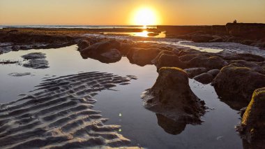 Swamis Resif Sörf Parkı, Ay ışığı, Cardiff ve Encinitas California 'daki diğer benzersiz plajlarda güneşli Güney Kaliforniya sahneleri, sörfçüler, gelgit havuzları, serin kayalar ve palmiye ağaçları..