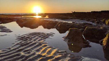 Swamis Resif Sörf Parkı, Ay ışığı, Cardiff ve Encinitas California 'daki diğer benzersiz plajlarda güneşli Güney Kaliforniya sahneleri, sörfçüler, gelgit havuzları, serin kayalar ve palmiye ağaçları..