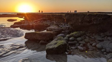 Günbatımları, siluetleri, sörfçüleri, gel-git havuzları ve Kaliforniya 'daki Cardiff ve Swamis plajlarında palmiye ağaçları olan Güney Kaliforniya sahneleri..