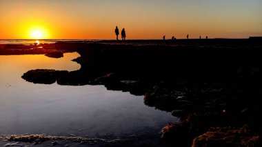 Günbatımları, siluetleri, sörfçüleri, gel-git havuzları ve Kaliforniya 'daki Cardiff ve Swamis plajlarında palmiye ağaçları olan Güney Kaliforniya sahneleri..