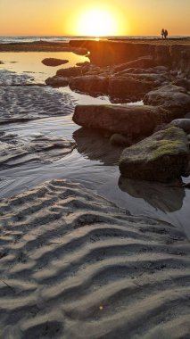 Günbatımları, siluetleri, sörfçüleri, gel-git havuzları ve Kaliforniya 'daki Cardiff ve Swamis plajlarında palmiye ağaçları olan Güney Kaliforniya sahneleri..