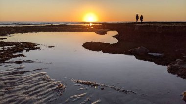 Günbatımları, siluetleri, sörfçüleri, gel-git havuzları ve Kaliforniya 'daki Cardiff ve Swamis plajlarında palmiye ağaçları olan Güney Kaliforniya sahneleri..