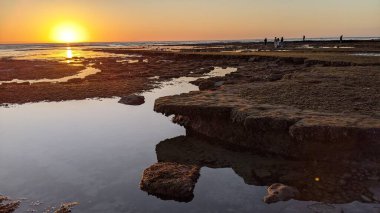 Günbatımları, siluetleri, sörfçüleri, gel-git havuzları ve Kaliforniya 'daki Cardiff ve Swamis plajlarında palmiye ağaçları olan Güney Kaliforniya sahneleri..
