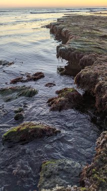 Güney Kaliforniya sahili siluetleri, sörfçüler, gelgit havuzları ve palmiye ağaçları Swamis Kayalık Sörf Parkı, Ay ışığı ve Encinitas California 'daki Cardiff plajları.