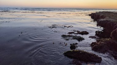 Güney Kaliforniya sahili siluetleri, sörfçüler, gelgit havuzları ve palmiye ağaçları Swamis Kayalık Sörf Parkı, Ay ışığı ve Encinitas California 'daki Cardiff plajları.