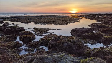 Güney Kaliforniya plaj sahnelerinde gelgit azaldı. Günbatımları, dalgalar, sörfçüler, gel-git havuzları, bulutlar ve palmiye ağaçları San Diego 'nun 25 mil kuzeyinde Encinitas' taki Swamis Resif Sörf Parkı 'nda..