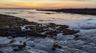 Günbatımında Güney Kaliforniya sahillerinde, eski resif gel-git havuzları, okyanus dalgaları ve Swamis Resif Parkı Encinitas California 'da alacakaranlık renkli gökyüzü.