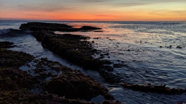 Günbatımında Güney Kaliforniya sahillerinde, eski resif gel-git havuzları, okyanus dalgaları ve Swamis Resif Parkı Encinitas California 'da alacakaranlık renkli gökyüzü.