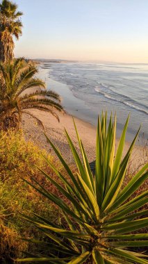 Günbatımında Güney Kaliforniya sahillerinde, eski resif gel-git havuzları, okyanus dalgaları ve Swamis Resif Parkı Encinitas California 'da alacakaranlık renkli gökyüzü.