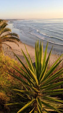 Günbatımında Güney Kaliforniya sahillerinde, eski resif gel-git havuzları, okyanus dalgaları ve Swamis Resif Parkı Encinitas California 'da alacakaranlık renkli gökyüzü.