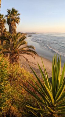 Günbatımında Güney Kaliforniya sahillerinde, eski resif gel-git havuzları, okyanus dalgaları ve Swamis Resif Parkı Encinitas California 'da alacakaranlık renkli gökyüzü.