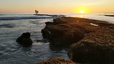 San Diego yakınlarındaki Güney Kaliforniya plaj sahneleri - Encinitas California 'daki Swamis Resif Sörf Parkı' ndaki günbatımları, sörfçüler, gelgit havuzları, dalgalar, kayalar, kum plajları ve palmiye ağaçları.