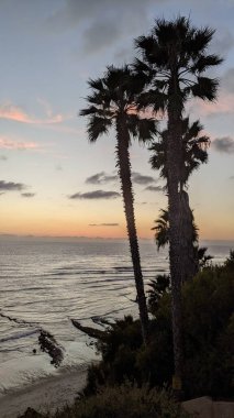 San Diego yakınlarındaki Güney Kaliforniya sahil sahneleri - Encinitas California 'daki Swamis Resif Sörf Parkı' nda günbatımı, sörfçüler, gelgit havuzları, dalgalar, kayalar, kum ve palmiye ağaçları.