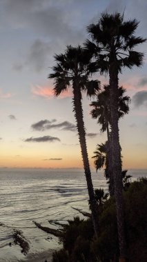 San Diego yakınlarındaki Güney Kaliforniya sahil sahneleri - Encinitas California 'daki Swamis Resif Sörf Parkı' nda günbatımı, sörfçüler, gelgit havuzları, dalgalar, kayalar, kum ve palmiye ağaçları.
