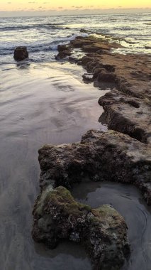 Güney Kaliforniya plajları, gün batımları, sörfçüler, gelgit havuzları ve palmiye ağaçları Encinitas California 'daki Swamis Resif Sörf Parkı' nda.
