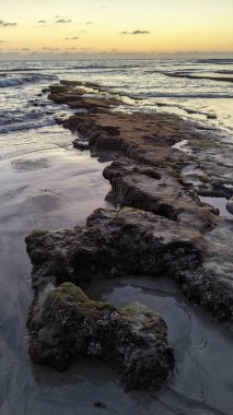 Güney Kaliforniya plajları, gün batımları, sörfçüler, gelgit havuzları ve palmiye ağaçları Encinitas California 'daki Swamis Resif Sörf Parkı' nda.