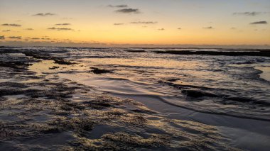 Güney Kaliforniya plajları, gün batımları, sörfçüler, gelgit havuzları ve palmiye ağaçları Encinitas California 'daki Swamis Resif Sörf Parkı' nda.