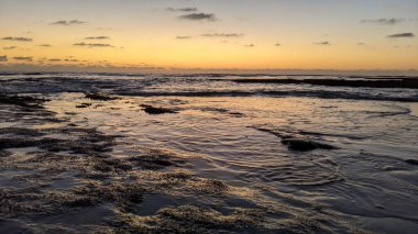 Güney Kaliforniya plajları, gün batımları, sörfçüler, gelgit havuzları ve palmiye ağaçları Encinitas California 'daki Swamis Resif Sörf Parkı' nda.