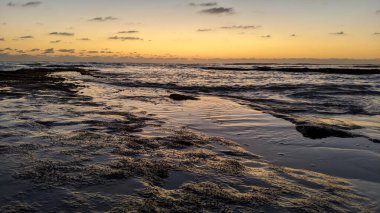 Güney Kaliforniya plajları, gün batımları, sörfçüler, gelgit havuzları ve palmiye ağaçları Encinitas California 'daki Swamis Resif Sörf Parkı' nda.