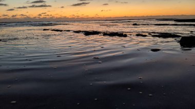 Güney Kaliforniya plajları, gün batımları, sörfçüler, gelgit havuzları ve palmiye ağaçları Encinitas California 'daki Swamis Resif Sörf Parkı' nda.