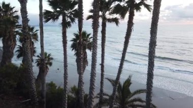 Güney Kaliforniya kıyıları - dalgalar, plajlar, gün batımları ve siluetler, gel-git havuzları, sörfçüler, palmiye ağaçları ve Encinitas 'taki Moonlight Sahili' ndeki Swamis Resif Sörf Parkı ve Cottonwood Deresi 'ndeki serin kaya soyutları.