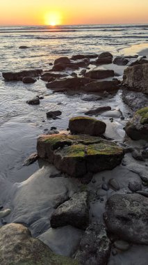 Swamis Resif Sörf Parkı Encinitas California 'da günbatımları, sörfçüler, gelgit havuzları ve palmiye ağaçlarının olduğu Güney Kaliforniya sahneleri.