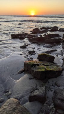 Swamis Resif Sörf Parkı Encinitas California 'da günbatımları, sörfçüler, gelgit havuzları ve palmiye ağaçlarının olduğu Güney Kaliforniya sahneleri.