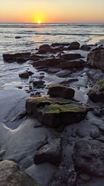 Swamis Resif Sörf Parkı Encinitas California 'da günbatımları, sörfçüler, gelgit havuzları ve palmiye ağaçlarının olduğu Güney Kaliforniya sahneleri.