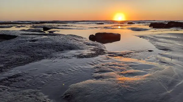 Swamis Resif Sörf Parkı Encinitas California 'da günbatımları, sörfçüler, gelgit havuzları ve palmiye ağaçlarının olduğu Güney Kaliforniya sahneleri.