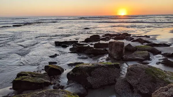 Swamis Resif Sörf Parkı Encinitas California 'da günbatımları, sörfçüler, gelgit havuzları ve palmiye ağaçlarının olduğu Güney Kaliforniya sahneleri.