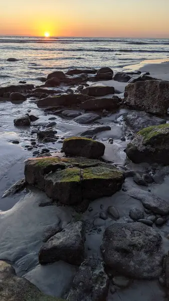 Swamis Resif Sörf Parkı Encinitas California 'da günbatımları, sörfçüler, gelgit havuzları ve palmiye ağaçlarının olduğu Güney Kaliforniya sahneleri.