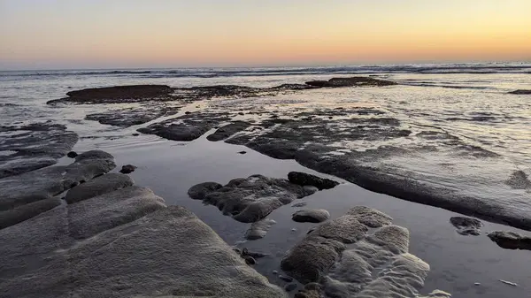 San Diego 'nun kuzeyinde Güney Kaliforniya sahilleri - Encinitas Kaliforniya' daki Swamis Resif Sörf Parkı 'nda günbatımı, sörfçüler, gelgit havuzları, dalgalar, kayalar, kum ve palmiye ağaçları.
