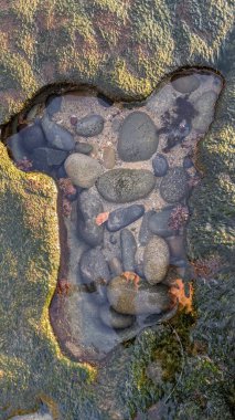 San Diego 'nun kuzeyinde Güney Kaliforniya sahilleri - Encinitas Kaliforniya' daki Swamis Resif Sörf Parkı 'nda günbatımı, sörfçüler, gelgit havuzları, dalgalar, kayalar, kum ve palmiye ağaçları.