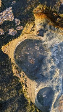 Güney Kaliforniya Pasifik sahili eski resifler, gelgit havuzları, okyanus dalgaları, palmiye ağaçları, sörf tahtaları ve deniz kuşlarının yanı sıra sıcak görünüşlü günbatımı gökyüzü ve Swamis Resif Parkı Encinitas kaya soyutlamaları..