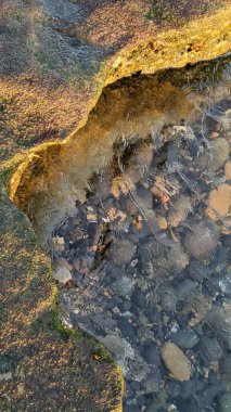 Güney Kaliforniya Pasifik sahili eski resifler, gelgit havuzları, okyanus dalgaları, palmiye ağaçları, sörf tahtaları ve deniz kuşlarının yanı sıra sıcak görünüşlü günbatımı gökyüzü ve Swamis Resif Parkı Encinitas kaya soyutlamaları..