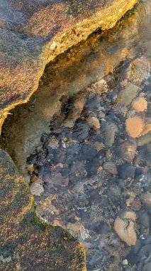Güney Kaliforniya Pasifik sahili eski resifler, gelgit havuzları, okyanus dalgaları, palmiye ağaçları, sörf tahtaları ve deniz kuşlarının yanı sıra sıcak görünüşlü günbatımı gökyüzü ve Swamis Resif Parkı Encinitas kaya soyutlamaları..