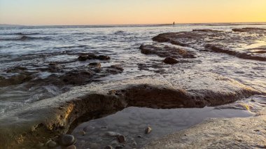 Güney Kaliforniya Pasifik sahili eski resifler, gelgit havuzları, okyanus dalgaları, palmiye ağaçları, sörf tahtaları ve deniz kuşlarının yanı sıra sıcak görünüşlü günbatımı gökyüzü ve Swamis Resif Parkı Encinitas kaya soyutlamaları..